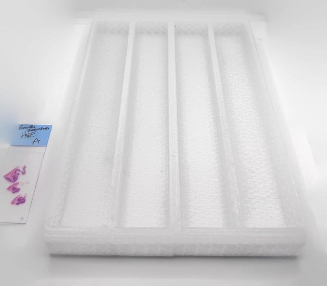 Tissue Cassette Rack Histology Tissue Cassette Holder – 4-lane Tray - Etsy