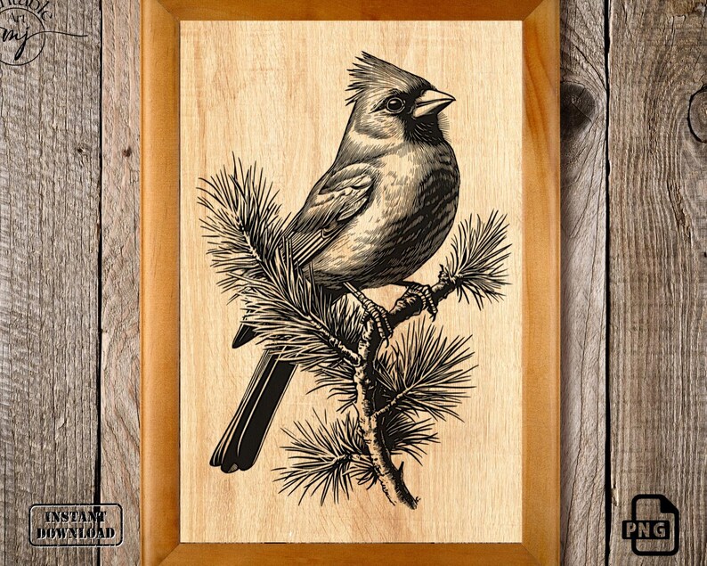 May include: A black and white illustration of a cardinal perched on a pine branch. The bird is facing right and has a red crest. The background is a light wood grain.