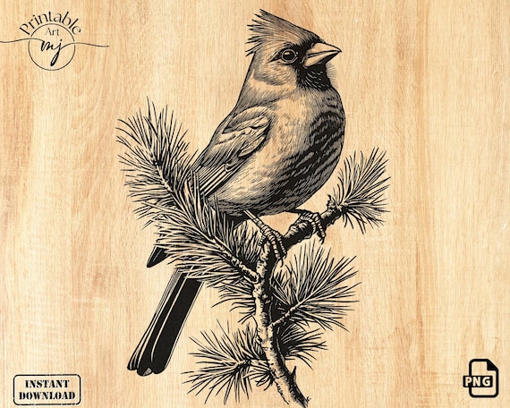 Red Cardinal Laser Engrave File: Wildlife Laser Design (PNG)