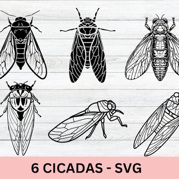 Cicada Shirt Design svg  Cicadas Tee Insect Lover Tee, Bug Lover Gift,  Insect design For Entomologist