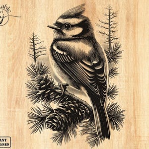 Blue Jay Laser Engrave File: Wildlife Landscape Design (PNG) - Etsy