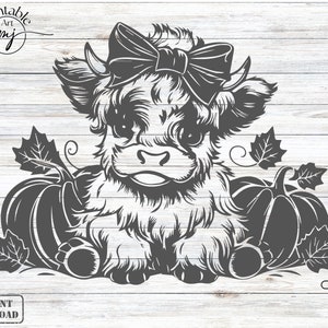 Op de afbeelding: Een zwart-witte illustratie van een Highland-koe kalf met een strik, zittend op twee pompoenen. Het kalf heeft grote ogen en een lieve uitdrukking. De pompoenen hebben bladeren en stelen.