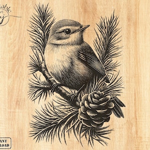 May include: A black and white illustration of a bird perched on a pine branch. The bird is facing to the right and has a long, pointed beak. The pine branch is decorated with a pine cone.