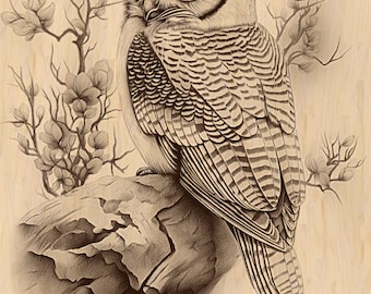 Barn Owl Laser Engraving PNG: Wildlife Art, Wood Burn Design