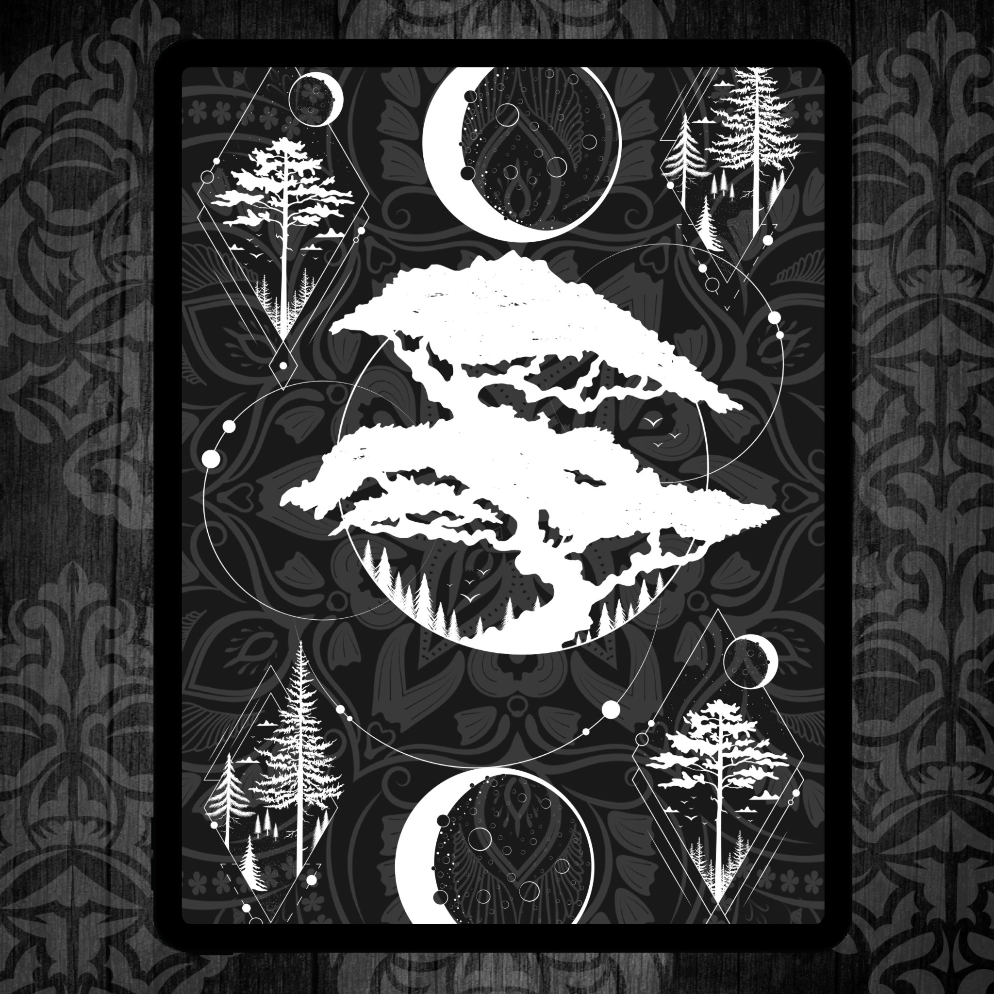 Thumbnail 6