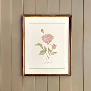 JUNE birth flower, ROSE, hand-drawn botanical art print