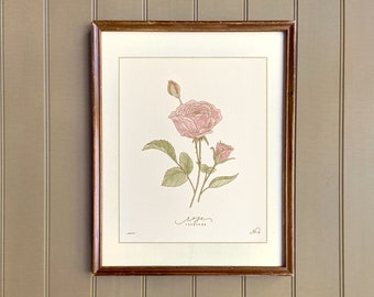 JUNE birth flower art print | hand drawn ROSE wall art | heirloom floral home decor