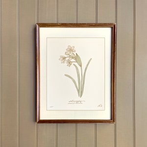 DEZEMBER Geburtsblume, NARZISSE, handgezeichneter botanischer Kunstdruck