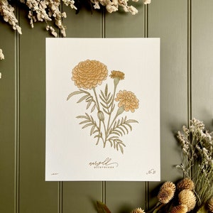 MARIGOLD, hand-drawn botanical art print, OCTOBER birth flower image 3