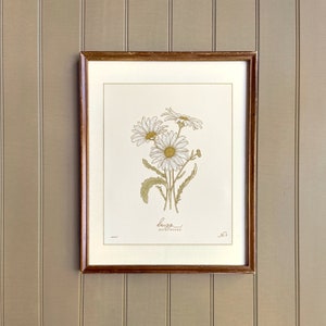 DAISY, hand-drawn botanical art print, APRIL birth flower
