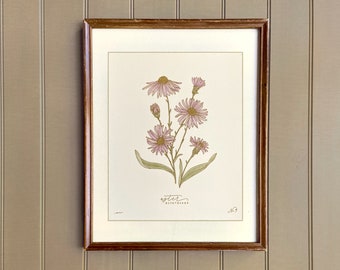 SEPTEMBER birth month flower print | heirloom botanical wall art | hand drawn ASTER