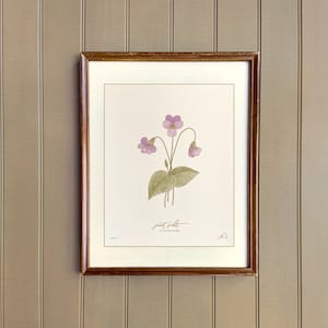 VIOLET, hand-drawn botanical art print, FEBRUARY birth flower