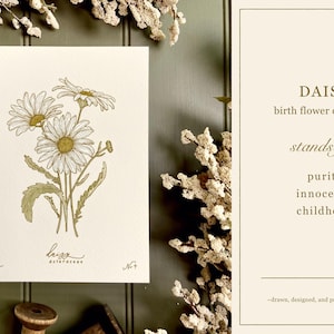 DAISY birth flower art print | APRIL birthday gift | heirloom botanical wall art image 2