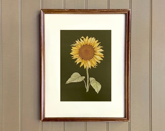 SUNFLOWER, moody botanical wall art, 5x7 art print, floral decor