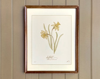 birth flower art print MARCH | hand drawn DAFFODIL | heirloom nursery wall art