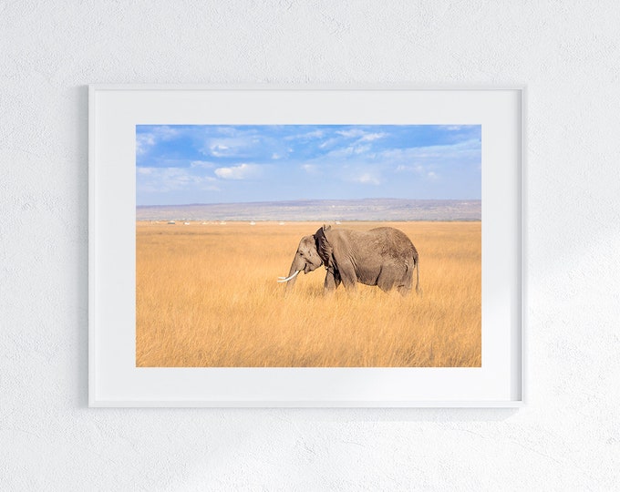Elephant Wall Art, African Safari Wildlife Photography Print, A3, A4