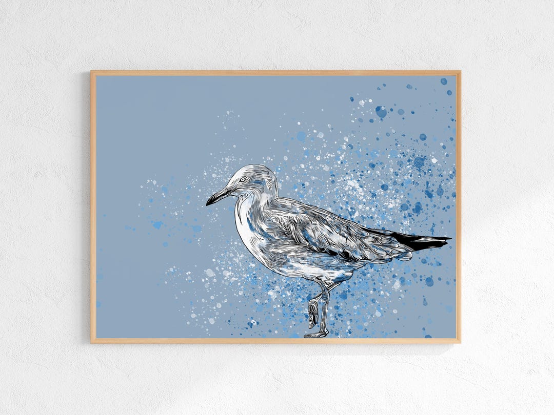 Seagull Wall Art Print – Australian Bird Artwork – Coastal Beach Decor ...