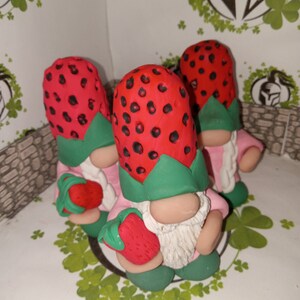 Strawberry gnome holding a Strawberry