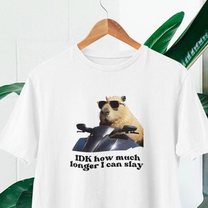 Funny Capybara Slay T-Shirt: TikTok Fan Top