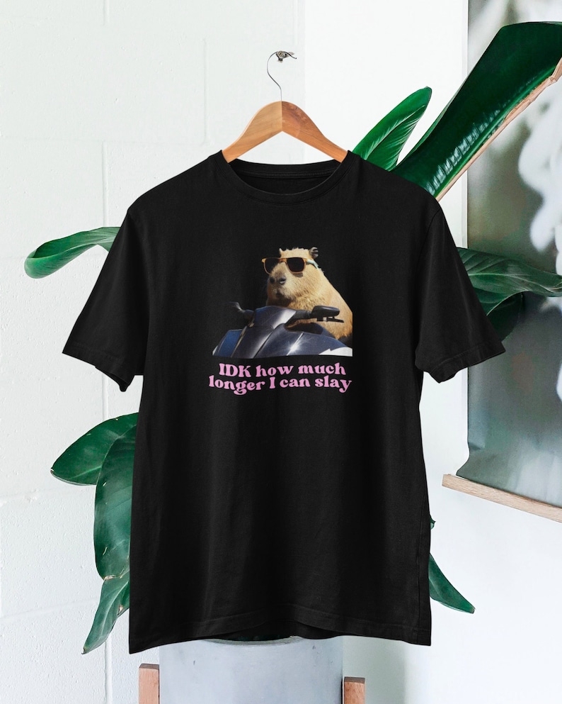 IDK How much longer I can slay T-shirt Slay T-shirt Funny top TikTok fans Capybara top Funny Capybara Slay T-shirt Funny t-shirt Black