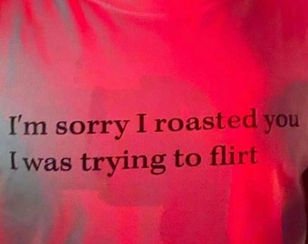 I’m sorry I roasted you I was trying to flirt T-shirt | Funny Aesthetic Shirt | Sassy Top | 90s Aesthetic t shirt | Sarcastic Tee Shirt |