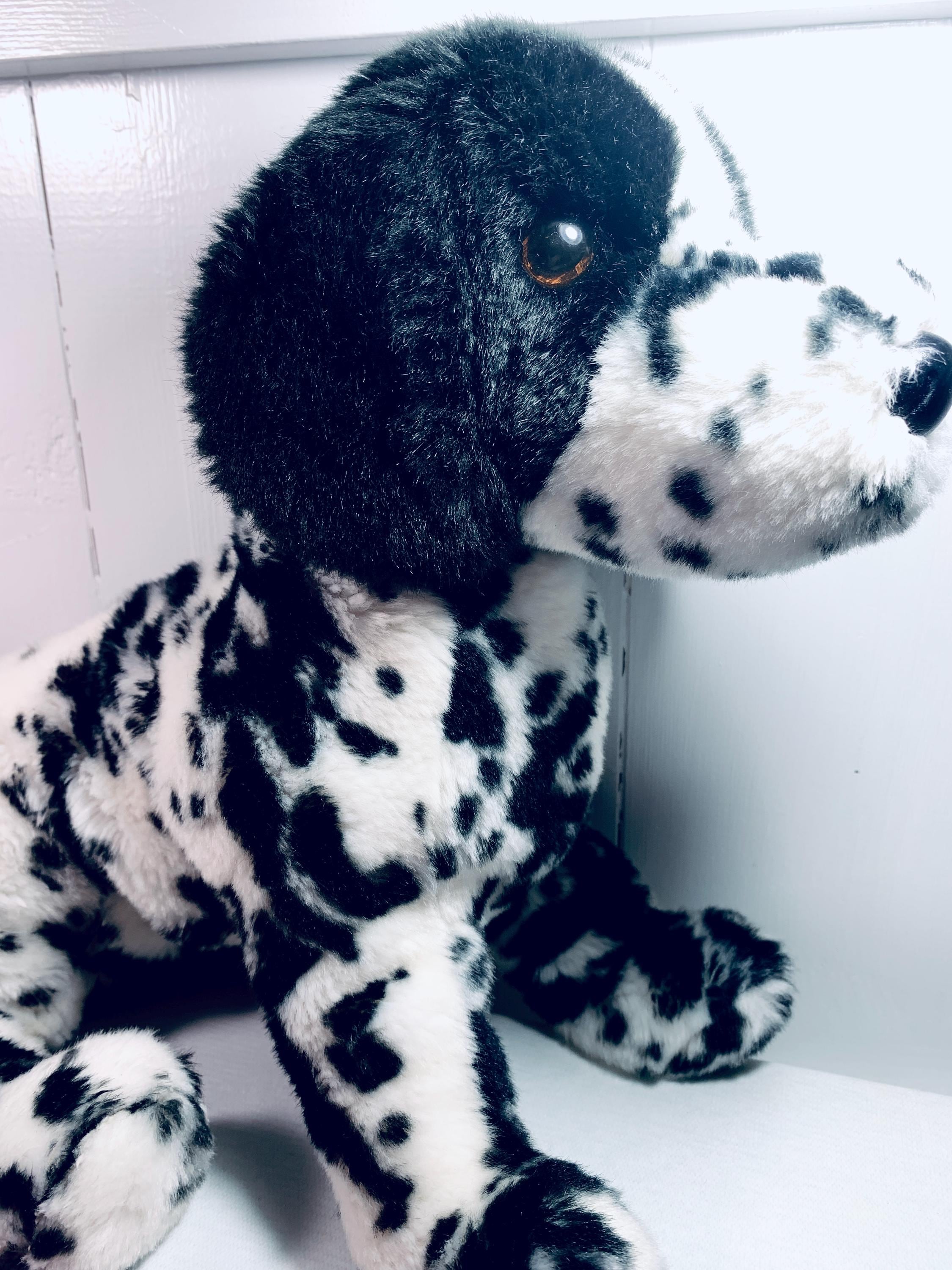 Retired Douglas Dogs