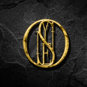 May include: A gold-colored metal circle with the letters "YES" inside. The circle is on a black textured background.