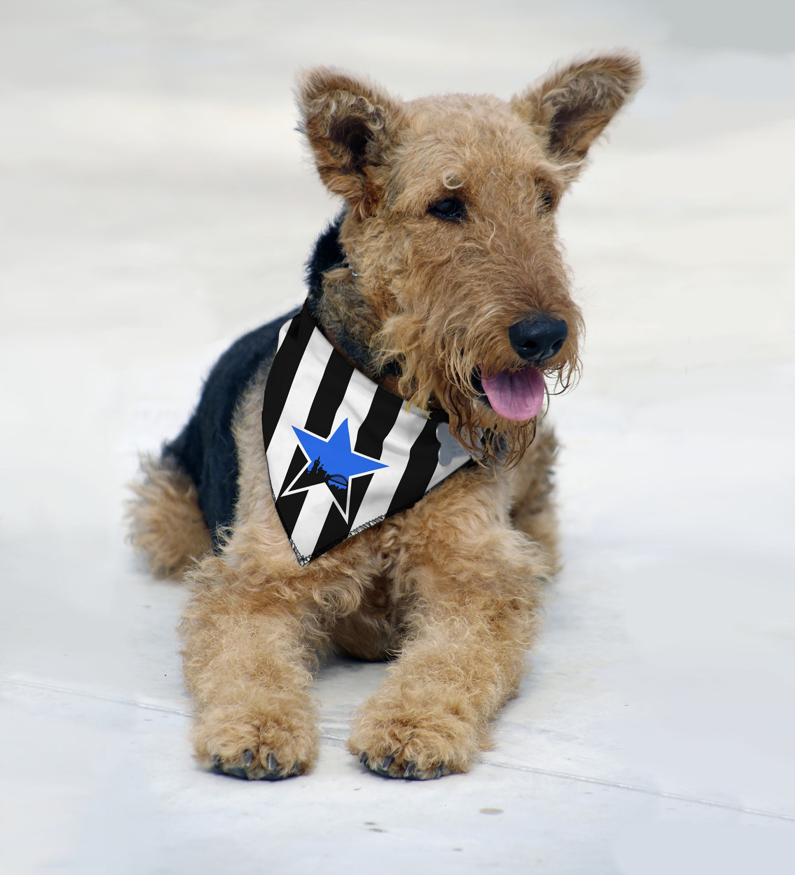 Newcastle Inspired Personalised Pet Tank Top FC 23/24 dog 