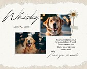 Pet Memorial Certificate Template | Rainbow Bridge Tribute | Editable Canva Template | Pet Loss Printable Gift | Pet Remembrance Keepsake