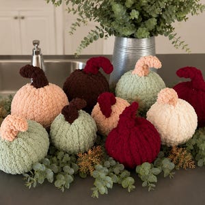 May include: A collection of nine plush, crocheted pumpkins in various sizes and colors, including shades of sage green, cream, dark brown, and deep burgundy. Each pumpkin features a textured, ribbed surface and a distinct, curled stem.