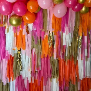 Streamer Backdrop, Fringe Backdrop, Birthday Party Decorations, Photo Backdrop, Fiesta, Bachelorette Party, Pink and Orange, Disco Fringe