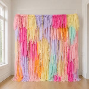 Streamer Backdrop, Fringe Backdrop, Birthday Party Decorations, Photo Backdrop, Fiesta, Bachelorette Party, Pastel Rainbow, Disco Fringe