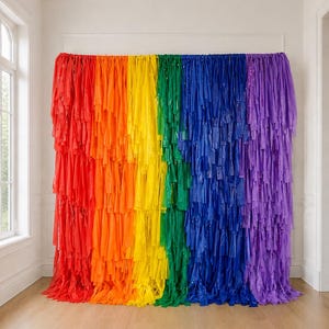 May include: A large, rectangular fringe backdrop featuring vertical strips of plastic material arranged in a rainbow color sequence. The colors transition from red to orange, yellow, green, blue, and purple, creating a layered, textured appearance.