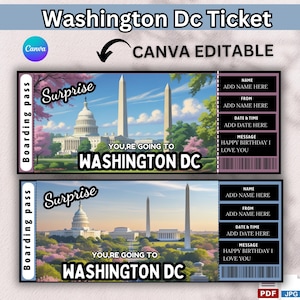Washington Dc Ticket, Surprise Trip Gift Ticket, You're Going To Washington, Washington Printable Vacation Ticket, Instant Download
