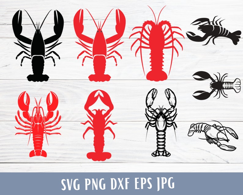 Crawfish Svg Crawfish Png Crawfish Cut File Crawfish - Etsy