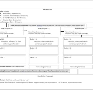 Essay Flow Chart- A visual guide, sentence by sentence, to create a 5 paragraph essay
