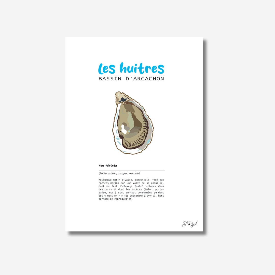 Poster of an Illustration of an Oyster With Its Definition on Etsy