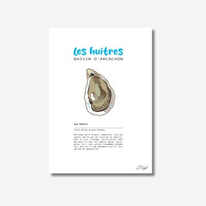 Poster of an illustration of an oyster with its definition on quality, handmade paper