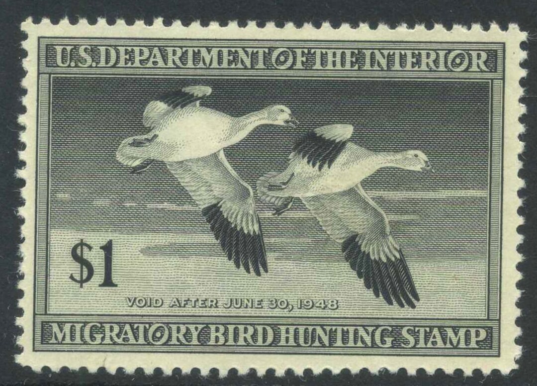 Timbre Fédéral Canard US 1944 Scott #RW11 - 1$ Oies, Rouge-orange, Utilisé