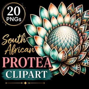 May include: A digital illustration of a South African Protea flower with teal, orange, and gold accents. The image includes the text "20 PNGs" and "South African Protea Clipart" on a black background. The flower has intricate geometric patterns.