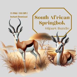 15 Springbok PNG Clipart | Watercolor South African Wildlife | Safari ...