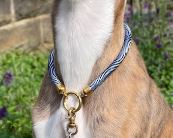 May include: A dog wearing a blue and white rope collar with a gold metal tag attached. The tag is hexagonal and has engraved text. The dog is sitting in front of a bed of purple flowers.