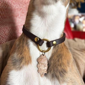 May include: A brown leather dog collar with a gold-colored metal ring and a decorative pendant. The dog collar is secured with gold-colored rivets. The pendant is a light brown color and has a unique shape.