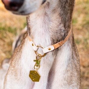 Collar de identificación de corcho bicolor // Elija su color, acero inoxidable, corcho blando, collar para cachorro, collar para gato, collar con placa de identificación