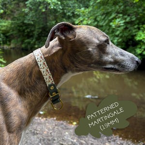 May include: A patterned martingale dog collar with a 19mm width, featuring a light-colored fabric strap with a small mushroom print, dark green leather-like accents, and gold-toned metal hardware including a D-ring and a sliding adjustment buckle.