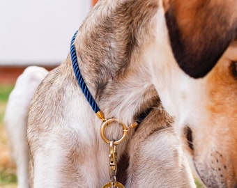 Collier d'identification en corde soyeuse torsadée // Couleur au choix, laiton ou acier inoxydable, collier léger avec étiquette d'identification, collier chiot chien chat chaton