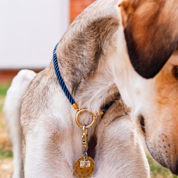 Collier d'identification en corde soyeuse torsadée // Couleur au choix, laiton ou acier inoxydable, collier léger avec étiquette d'identification, collier chiot chien chat chaton