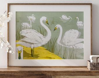 May include: A framed print featuring a serene scene of white swans on a lake. The artwork showcases several swans with their elegant forms, set against a backdrop of water and reeds. The color palette includes shades of white, green, and yellow.