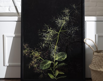 クラウンフィールド植物習作プリント｜ヴィンテージ植物水彩画｜アンティーク花柄ウォールポスター｜高解像度デジタルダウンロードファイル