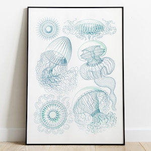 Ernst Haeckel Jellyfish Marine Print | Vintage Ocean Nature Poster | Antique Scientific Illustration | Sea Life Wall Art | Digital Download